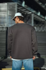 Kışlık Bisiklet Yaka Üç İplik Basic SweatShirt - Antrasit